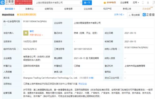 阿里巴巴关联新公司成立背后 第二类增值电信业务的战略布局与行业影响