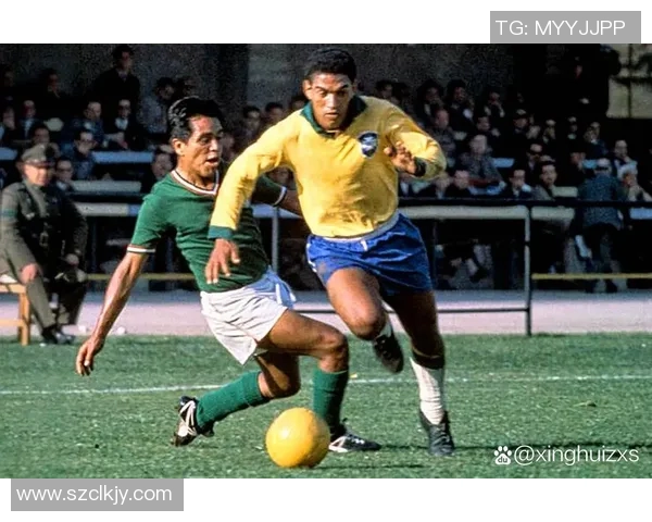 中国足球巨星陨落背后的真相揭露与职业生涯的遗憾回顾